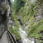 ホテル Neuwirt ブーヘン