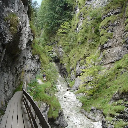 Hotel Neuwirt Kirchdorf in Tirol
