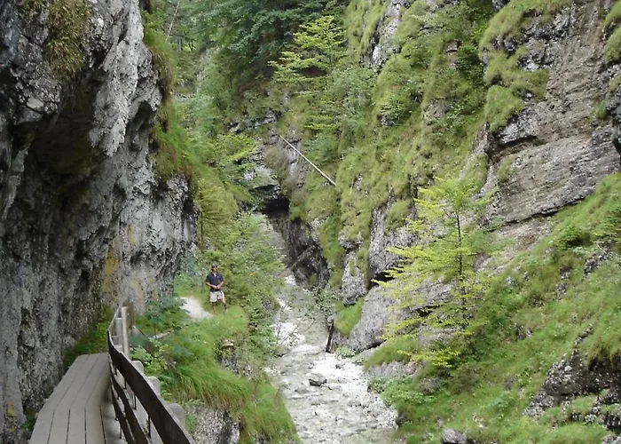 ホテル Neuwirt ブーヘン